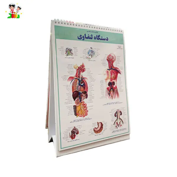 کتاب اطلس کالبد شناسی(آناتومی) بدن انسان | اندیشه کهن